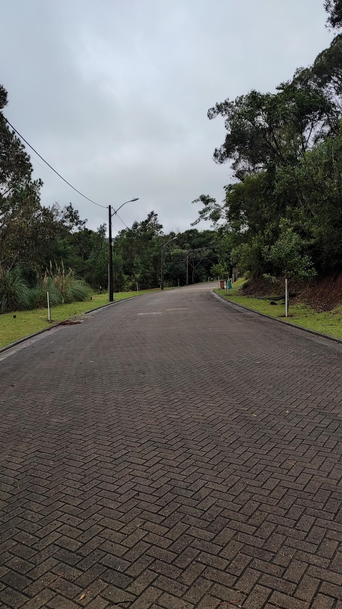 Terreno, 503 m² - Foto 4