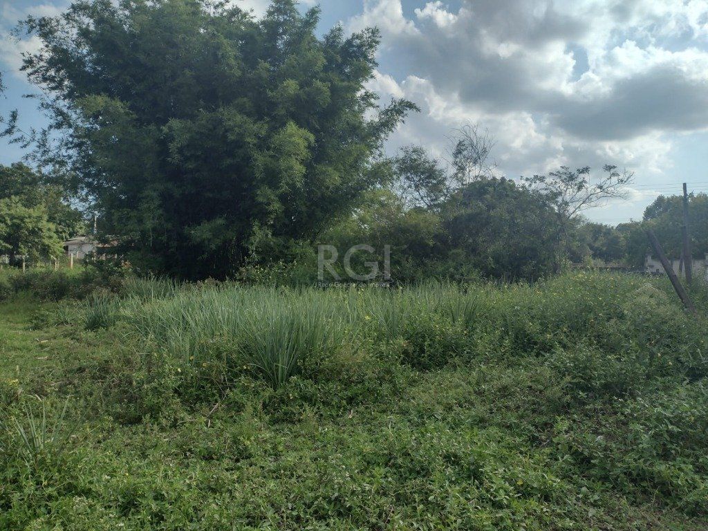 Terreno, 2021 m² - Foto 10