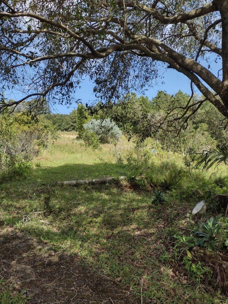 Sítio à venda com 1 quarto, 211m² - Foto 3