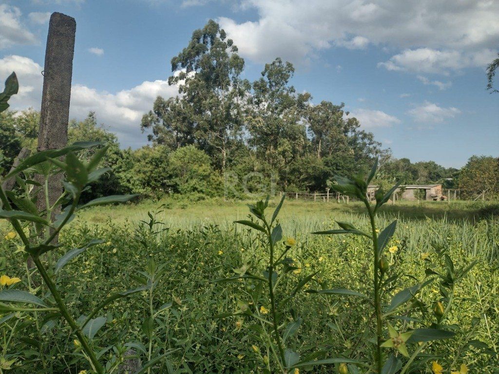 Terreno, 2021 m² - Foto 14