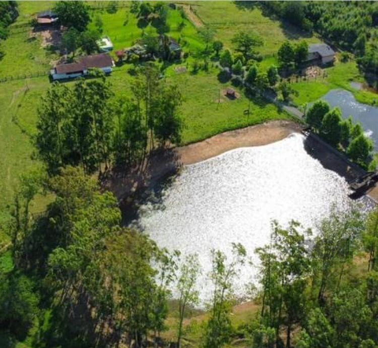 Fazenda à venda com 4 quartos, 22001m² - Foto 6