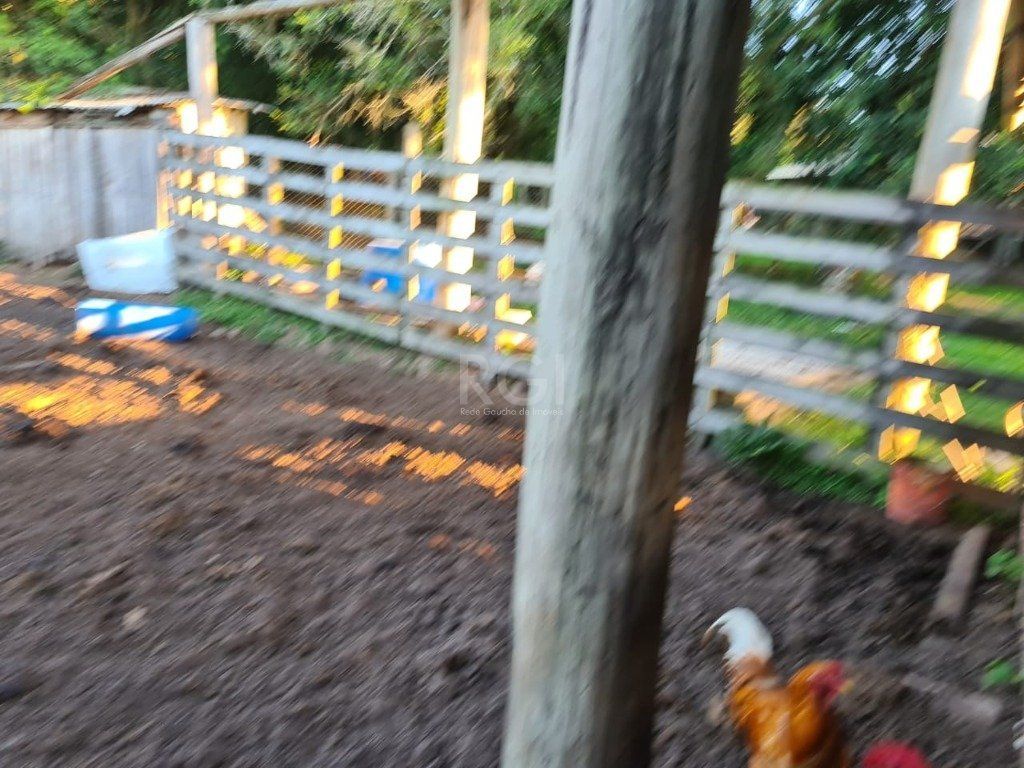 Chácara, 3 quartos, 6 hectares - Foto 26