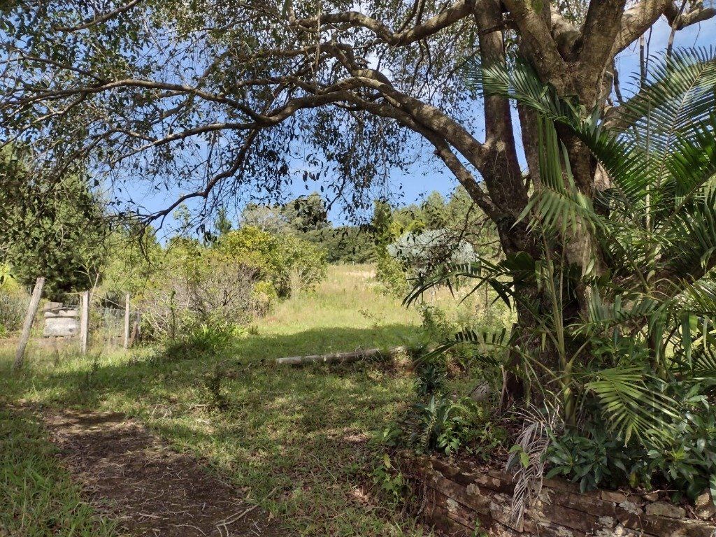 Sítio à venda com 1 quarto, 211m² - Foto 6