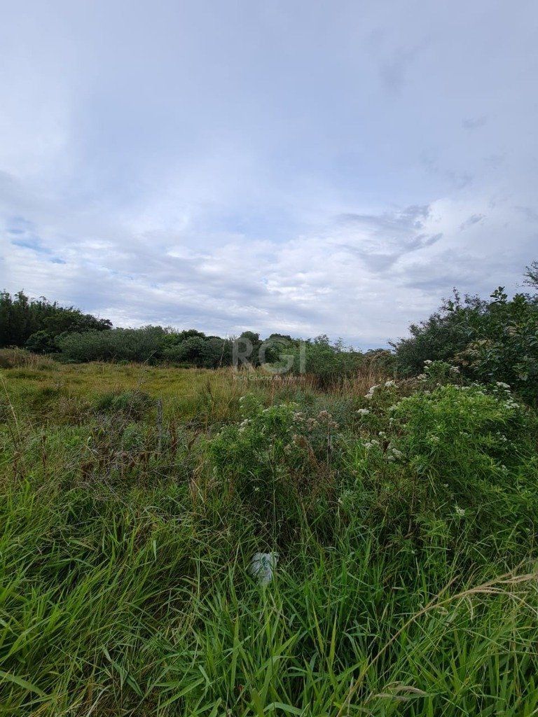 Terreno à venda, 11800m² - Foto 2