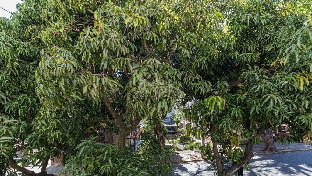 Apartamento à venda com 3 quartos, 76m² - Foto 19
