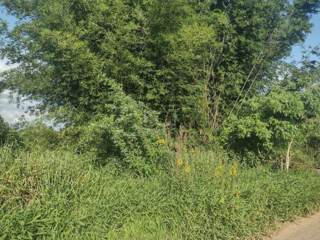 Terreno, 2021 m² - Foto 2