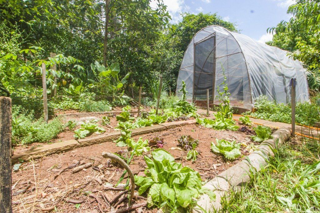 Casa, 5 quartos, 510 m² - Foto 35