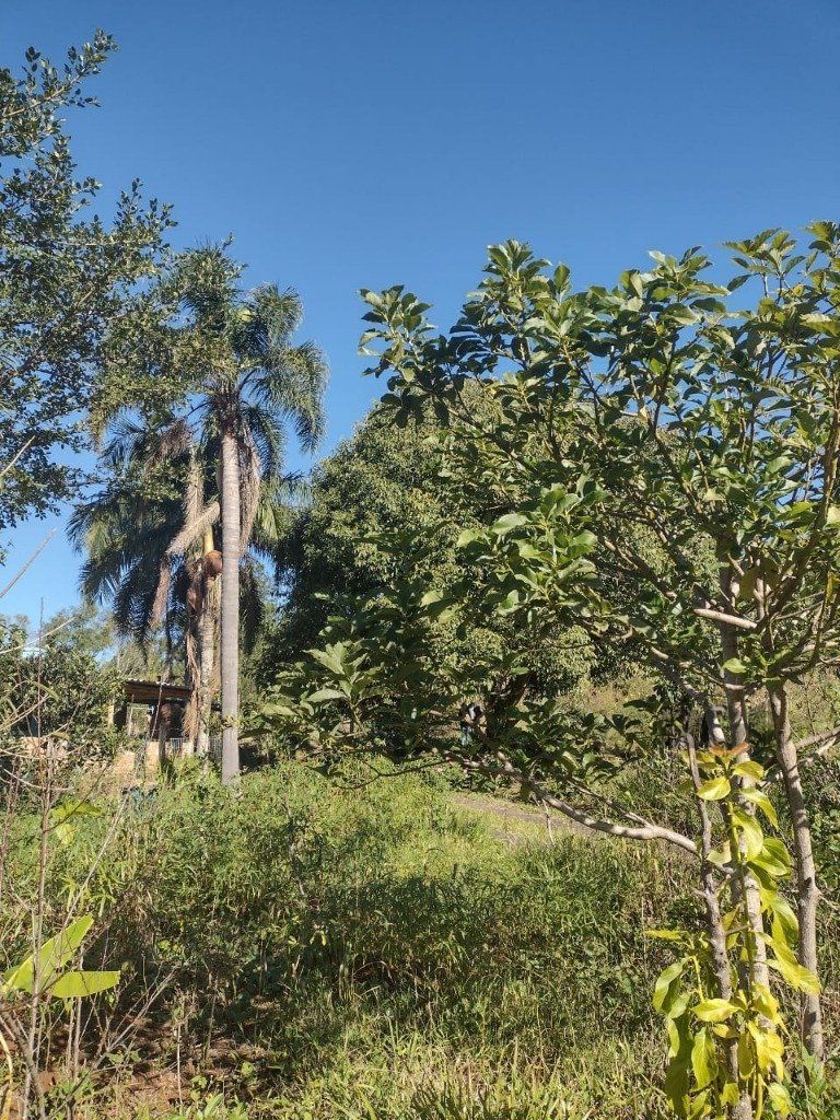 Sítio à venda com 1 quarto, 211m² - Foto 10