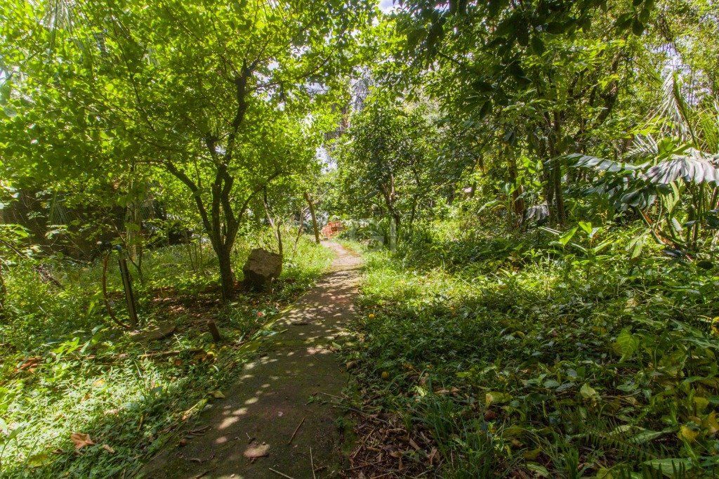 Casa, 5 quartos, 510 m² - Foto 36