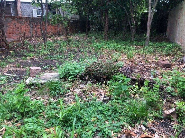 Terreno à venda, 391m² - Foto 3