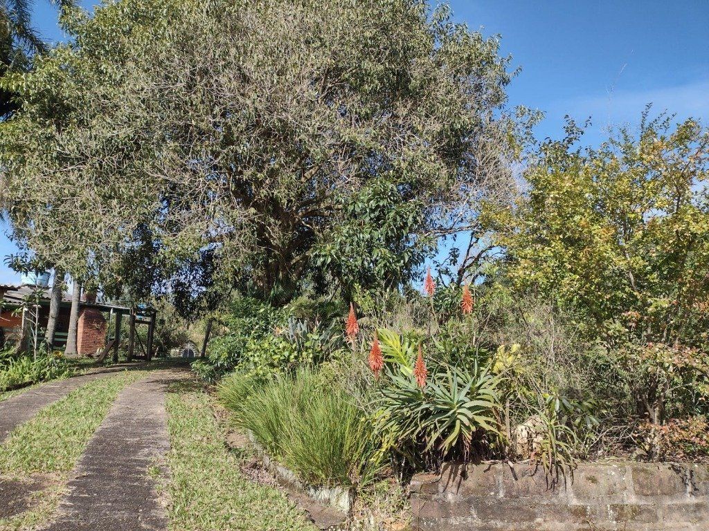 Sítio à venda com 1 quarto, 211m² - Foto 34