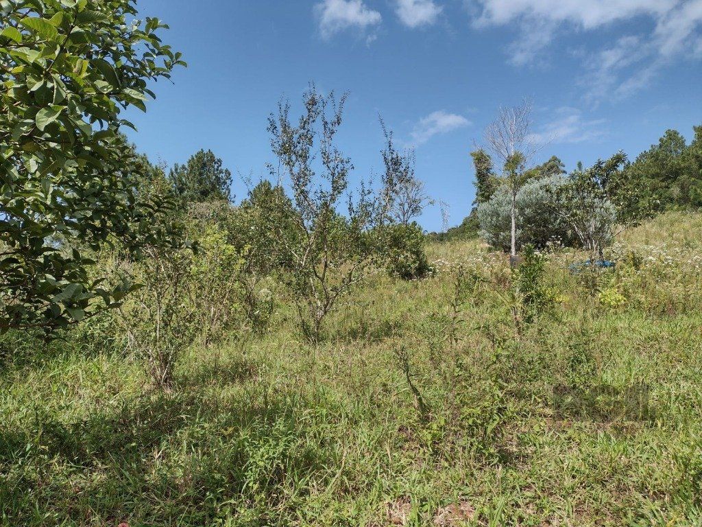 Sítio à venda com 1 quarto, 211m² - Foto 8