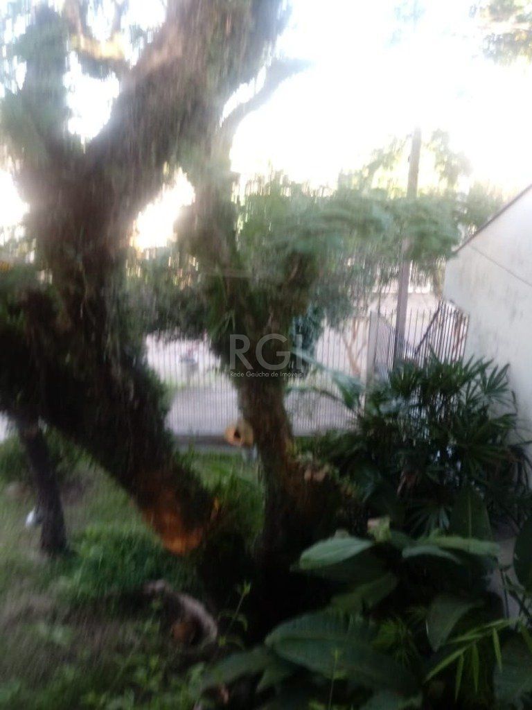Casa, 3 quartos, 300 m² - Foto 57