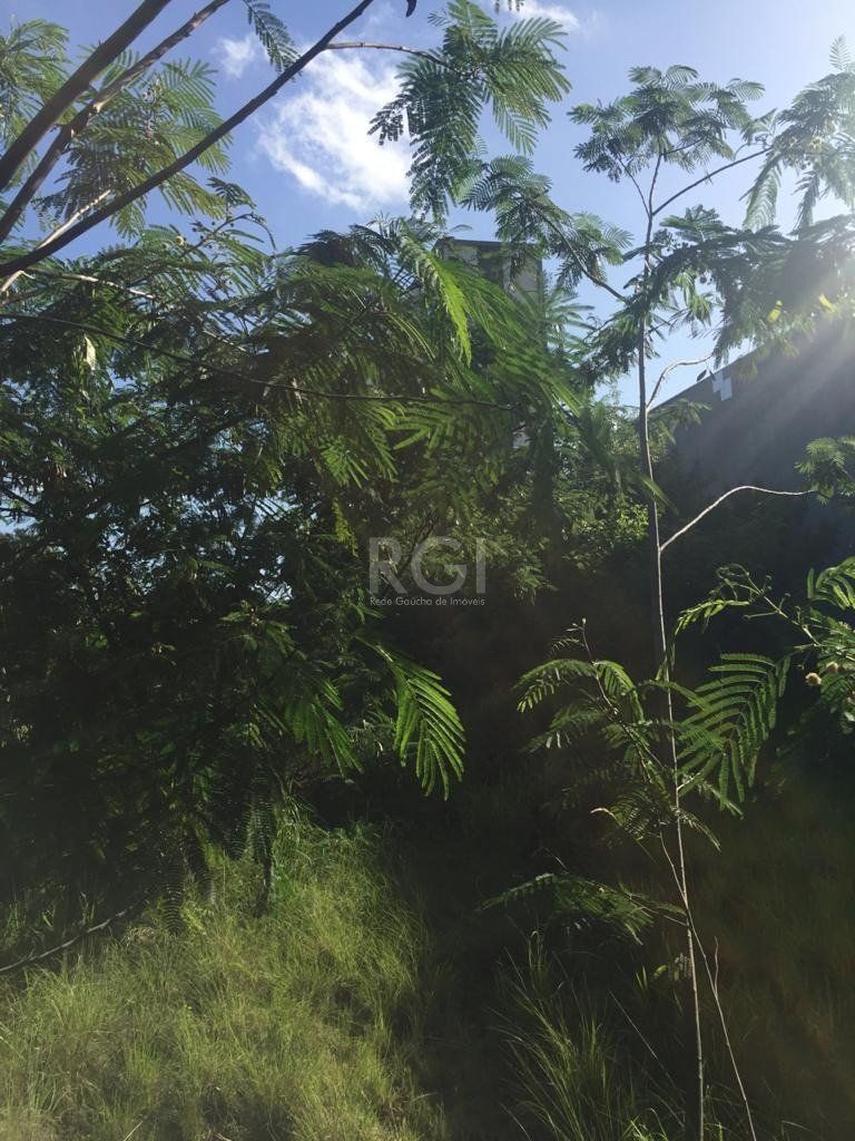 Terreno, 6436 m² - Foto 6