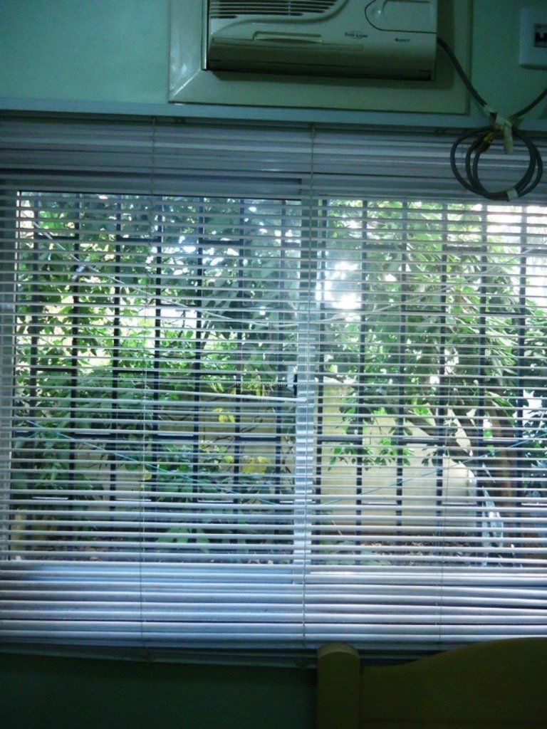 Apartamento, 2 quartos, 65 m² - Foto 13