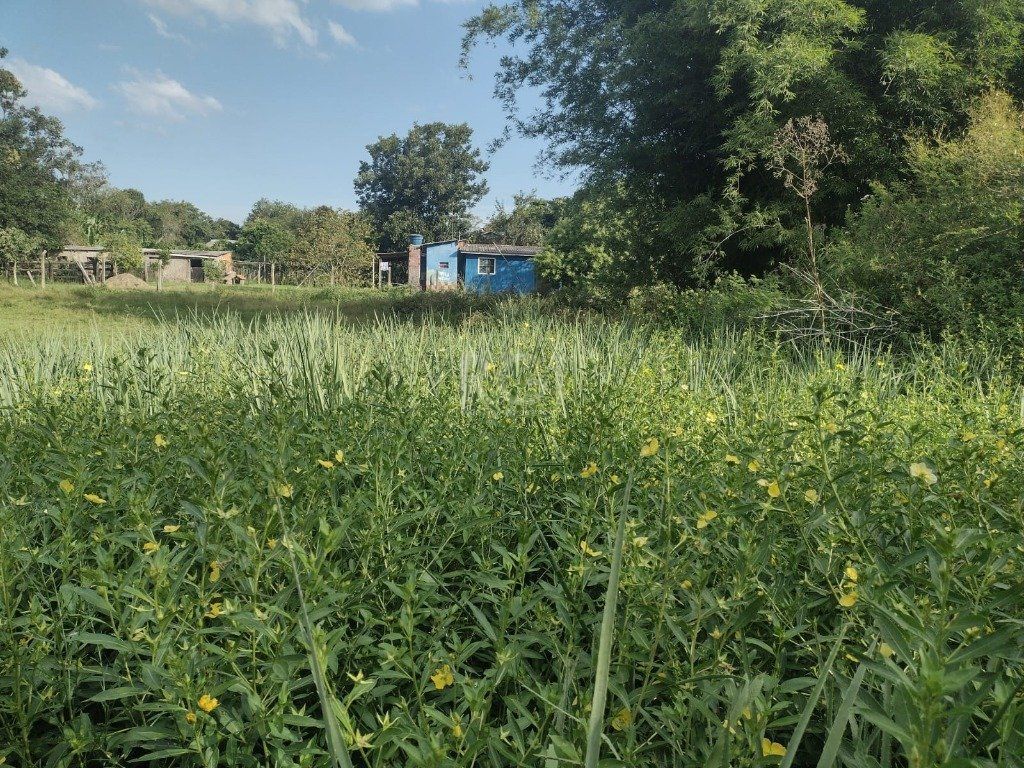 Terreno à venda, 2022m² - Foto 4
