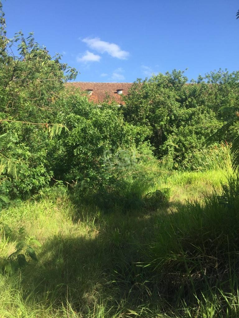 Terreno, 6436 m² - Foto 21