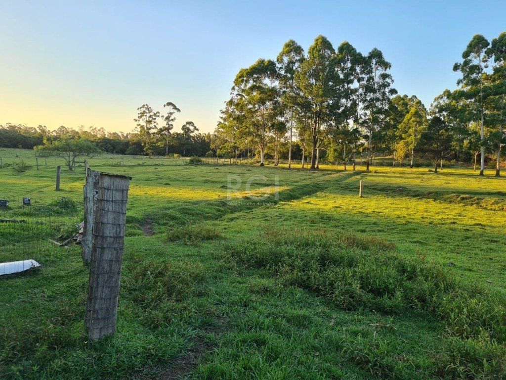 Chácara, 3 quartos, 6 hectares - Foto 27