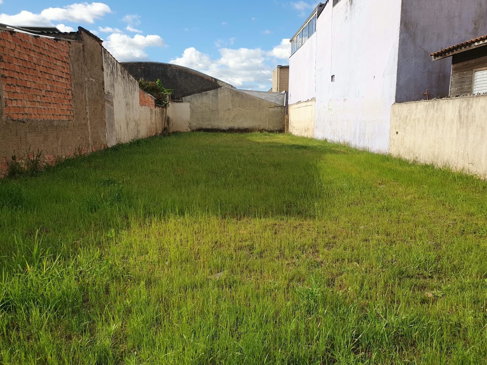 Terreno, à venda, Harmonia - Canoas — foto 4