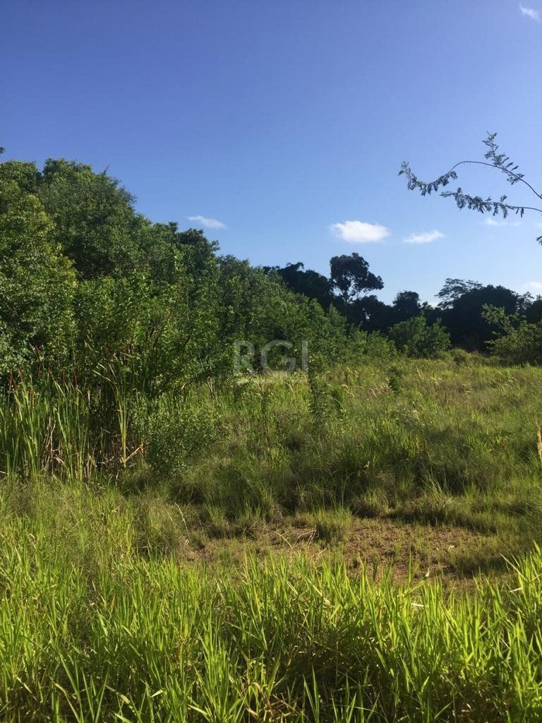 Terreno, 6436 m² - Foto 15