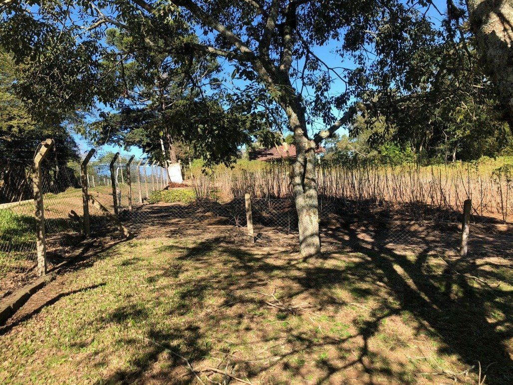 Sítio à venda, 10001m² - Foto 10