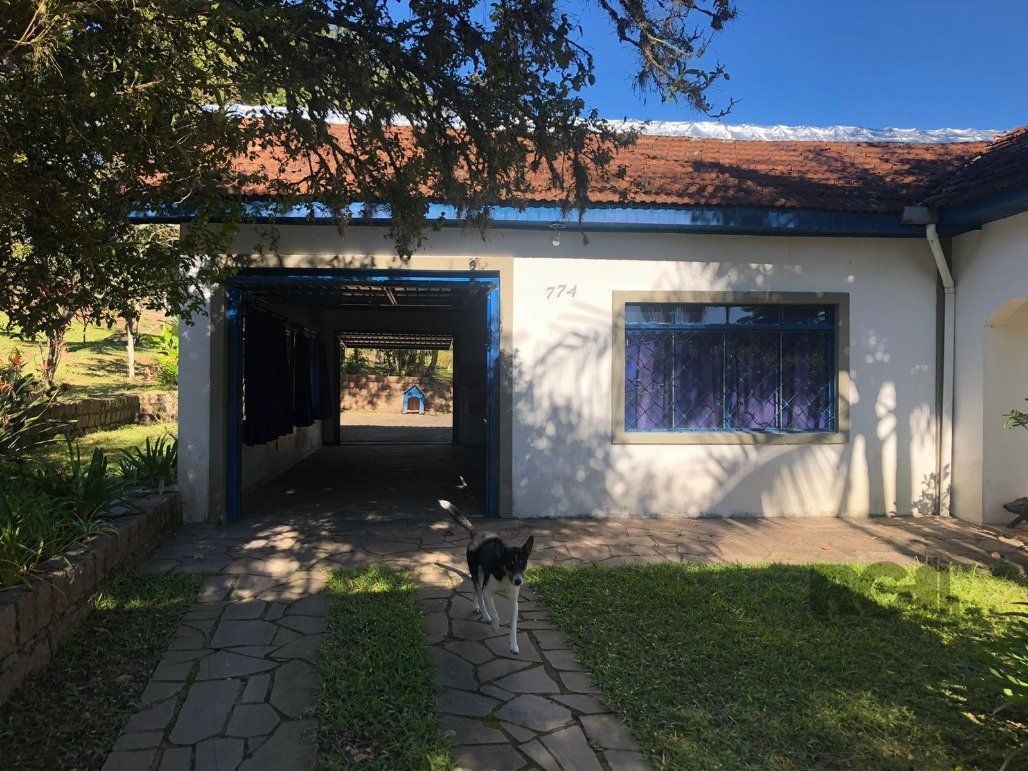 Sítio à venda, 10001m² - Foto 6