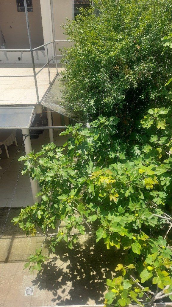 Casa, 3 quartos, 200 m² - Foto 8