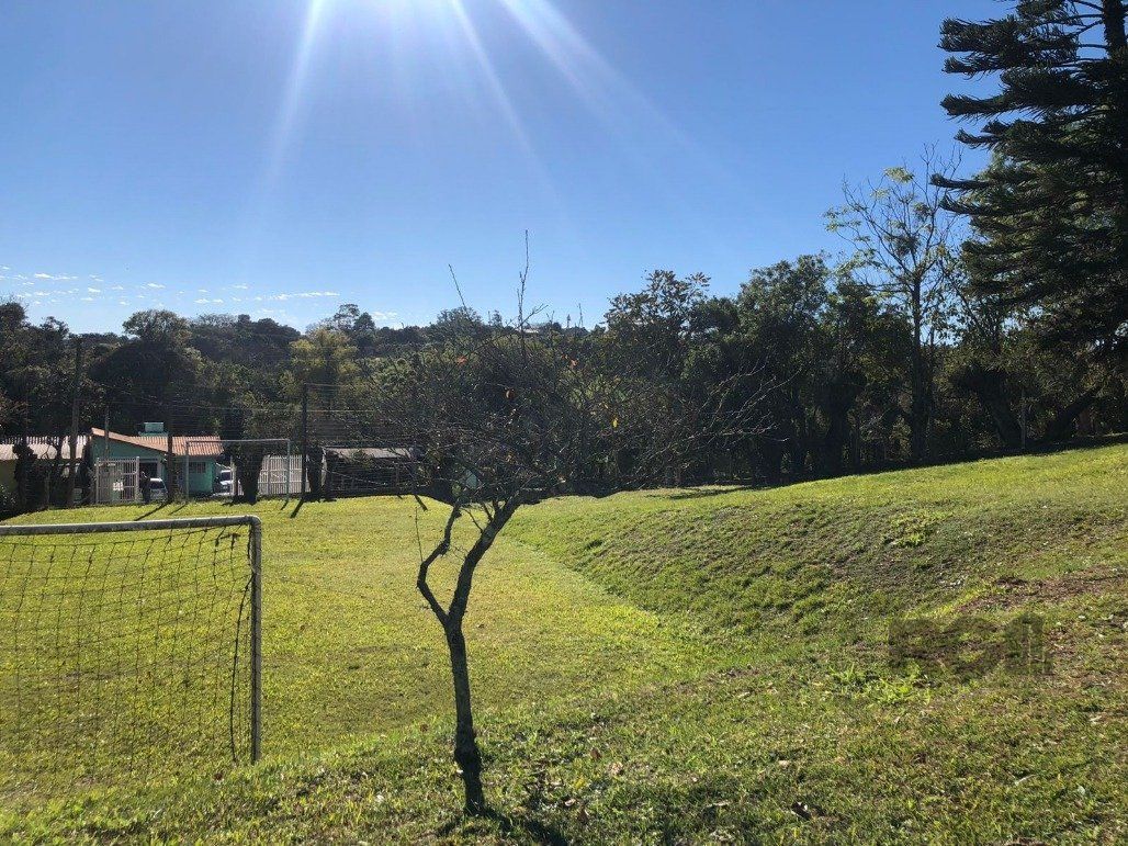 Sítio à venda, 10001m² - Foto 7