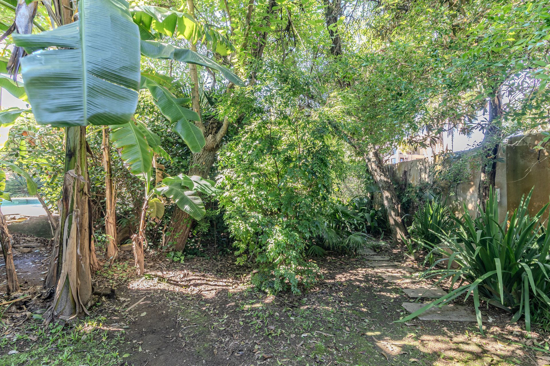 Casa, 4 quartos, 241 m² - Foto 38