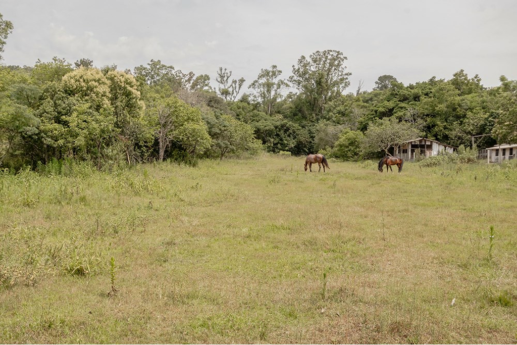 Terreno, 1 hectares - Foto 26