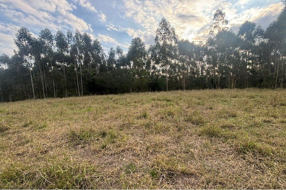 Fazenda à venda, 562998m² - Foto 18