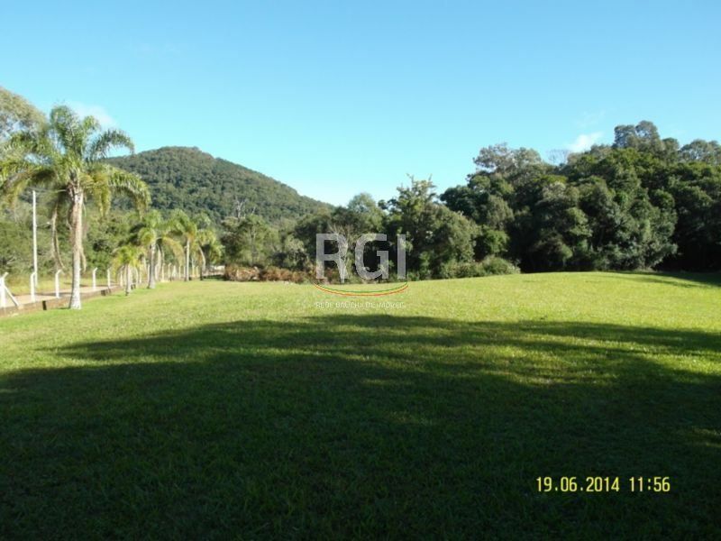 Terreno, 4 hectares - Foto 1