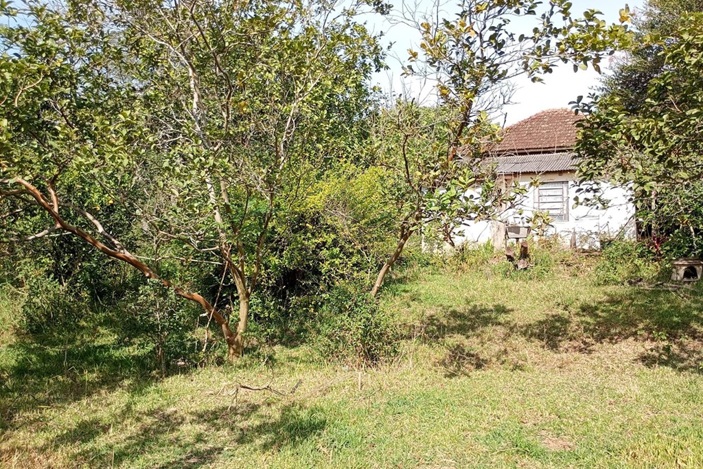 Sítio, 44076 m² - Foto 21