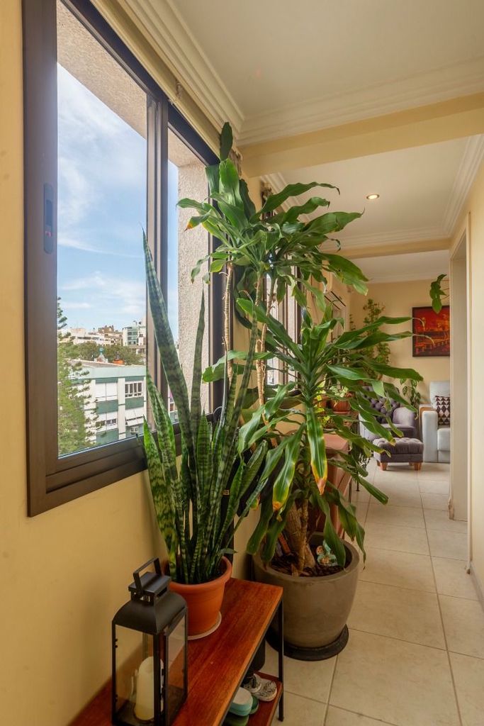 Apartamento, 2 quartos, 66 m² - Foto 35