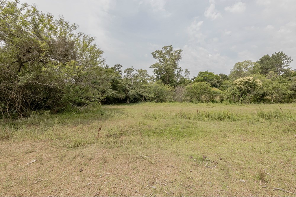 Terreno, 1 hectares - Foto 3