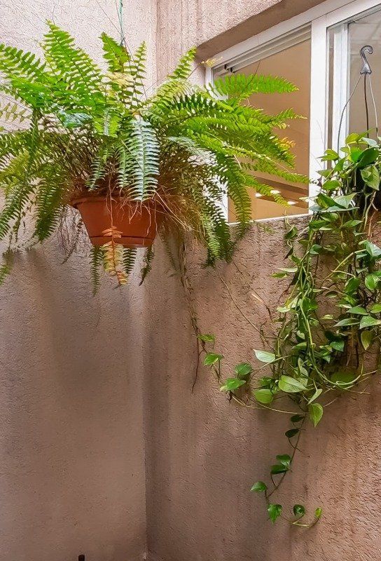 Casa, 4 quartos, 350 m² - Foto 31