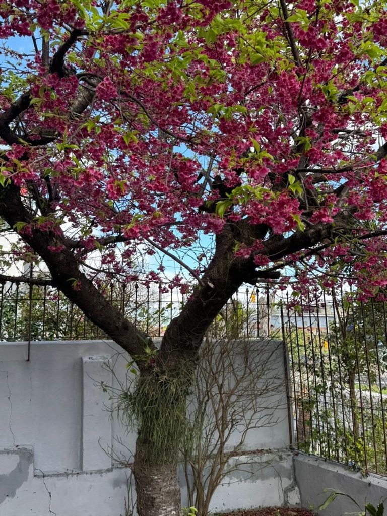 Casa, 3 quartos, 180 m² - Foto 19