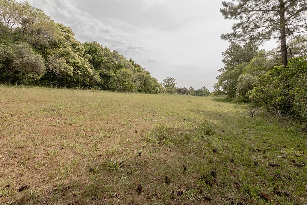 Terreno, 1 hectares - Foto 10