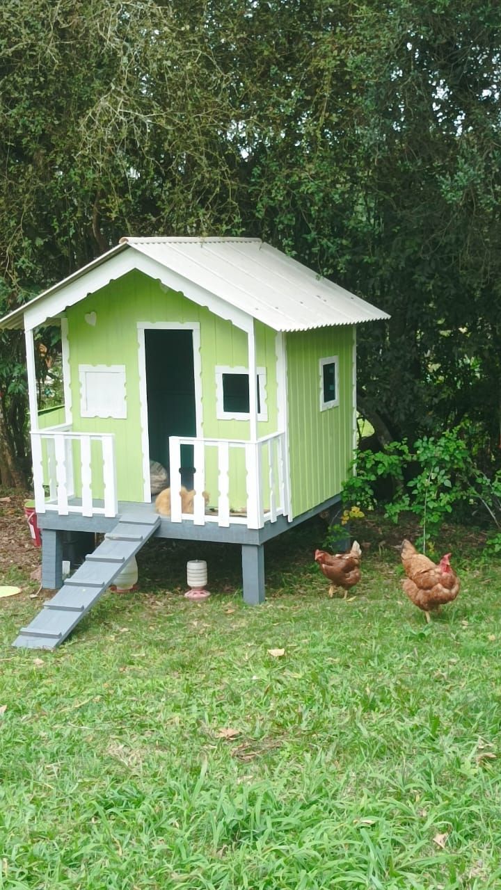 Sítio à venda com 3 quartos, 1m² - Foto 16