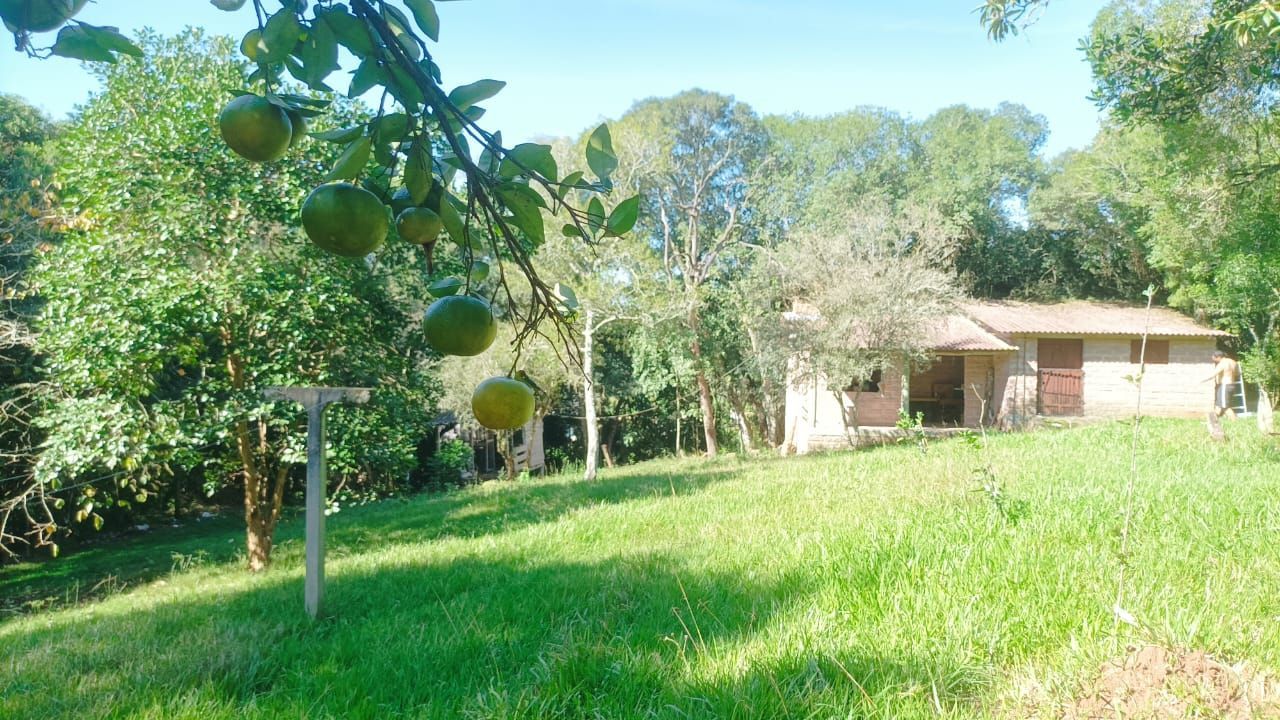 Sítio à venda com 3 quartos, 1m² - Foto 19