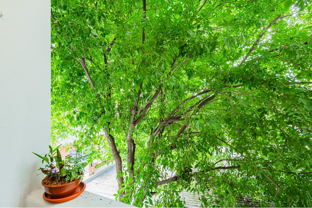 Apartamento, 1 quarto, 51 m² - Foto 4