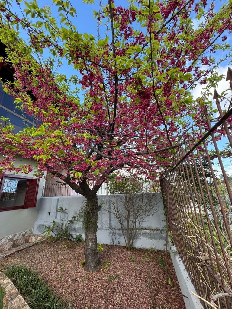 Casa, 3 quartos, 180 m² - Foto 18