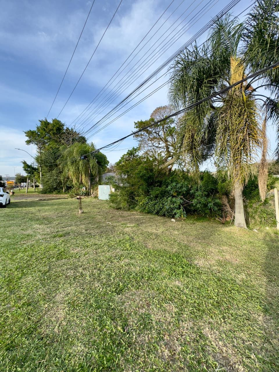 Terreno, 6952 m² - Foto 6