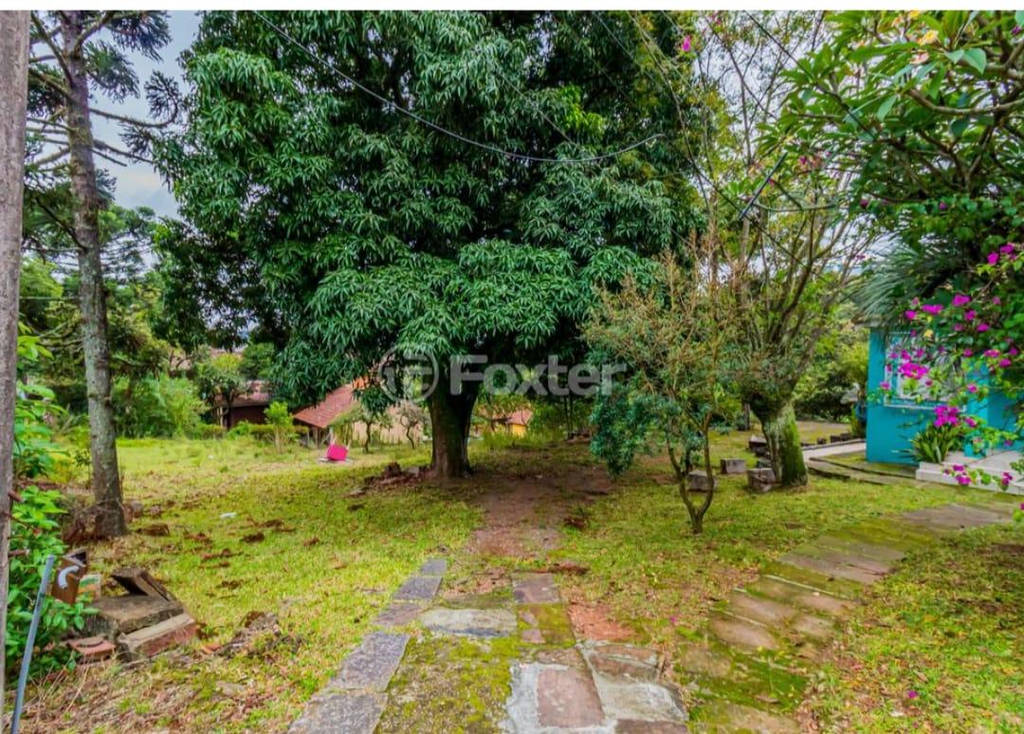 Terreno, 6797 m² - Foto 11
