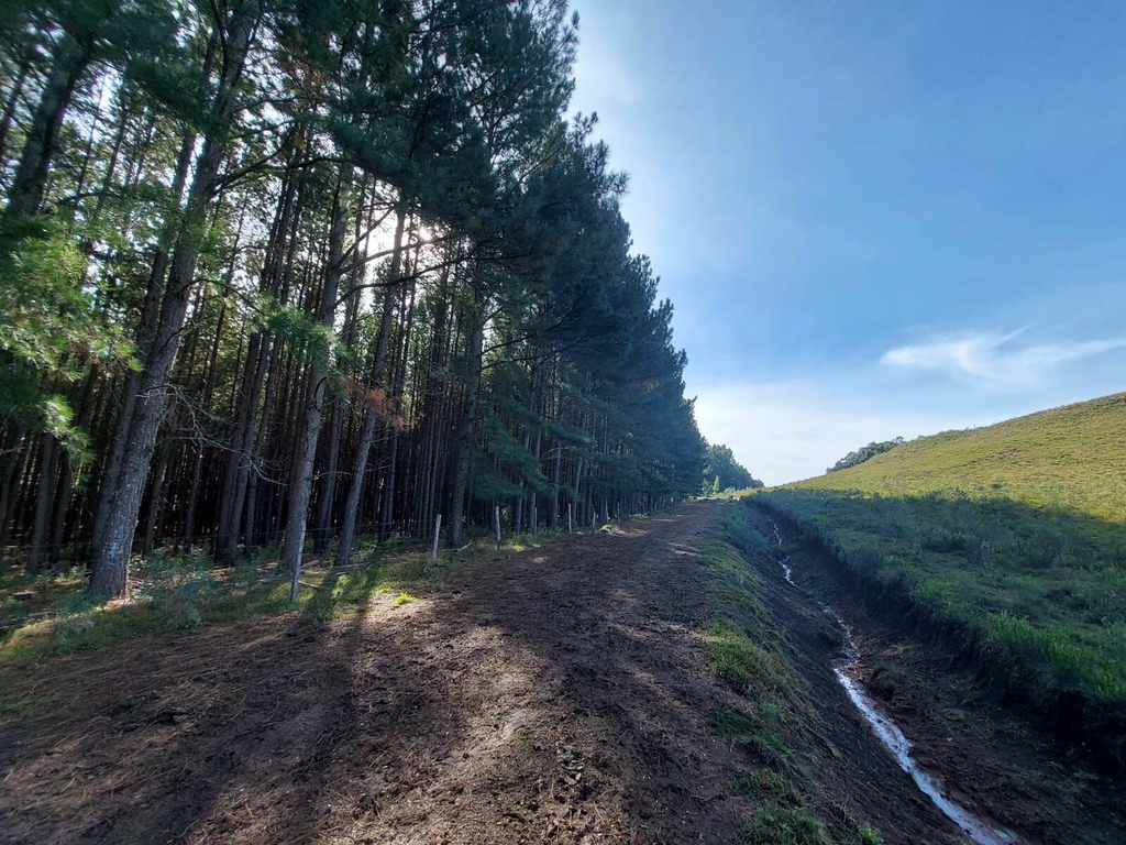 Fazenda, 1 m² - Foto 7