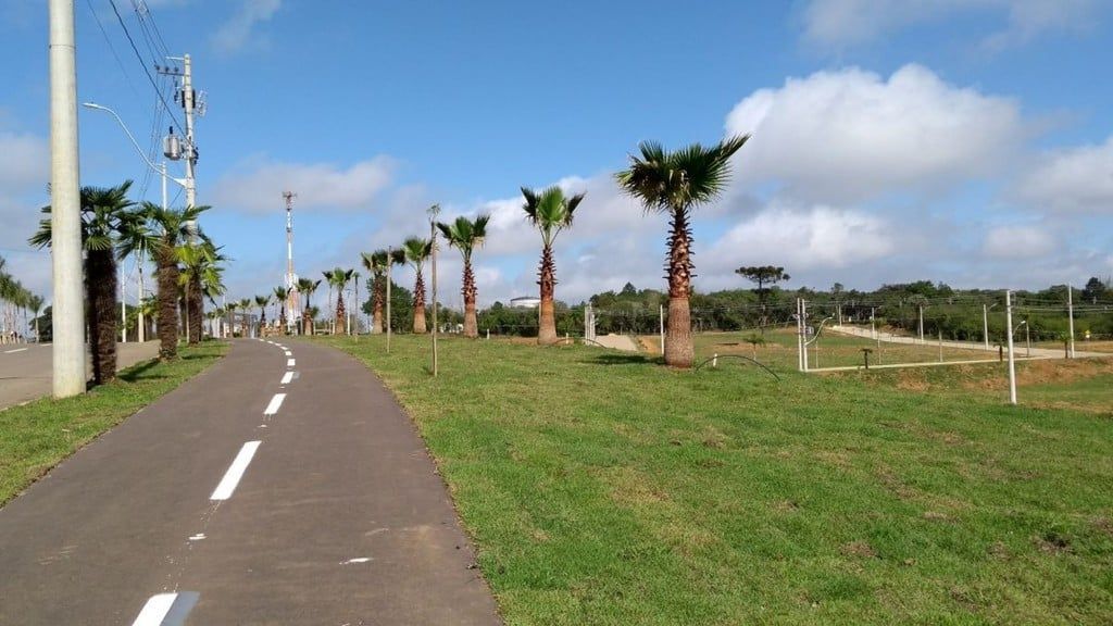 Terreno, 265 m² - Foto 7