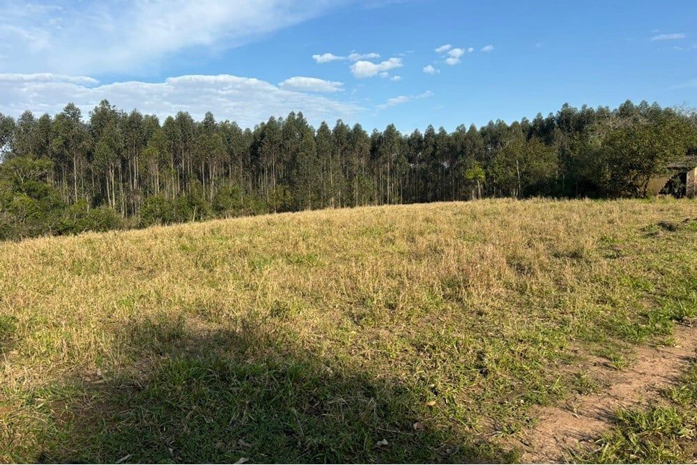 Fazenda à venda, 562998m² - Foto 8