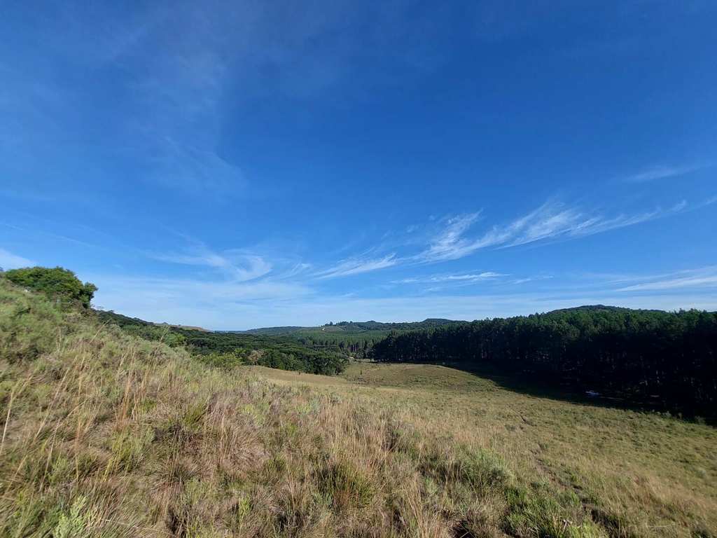 Fazenda, 1 m² - Foto 17