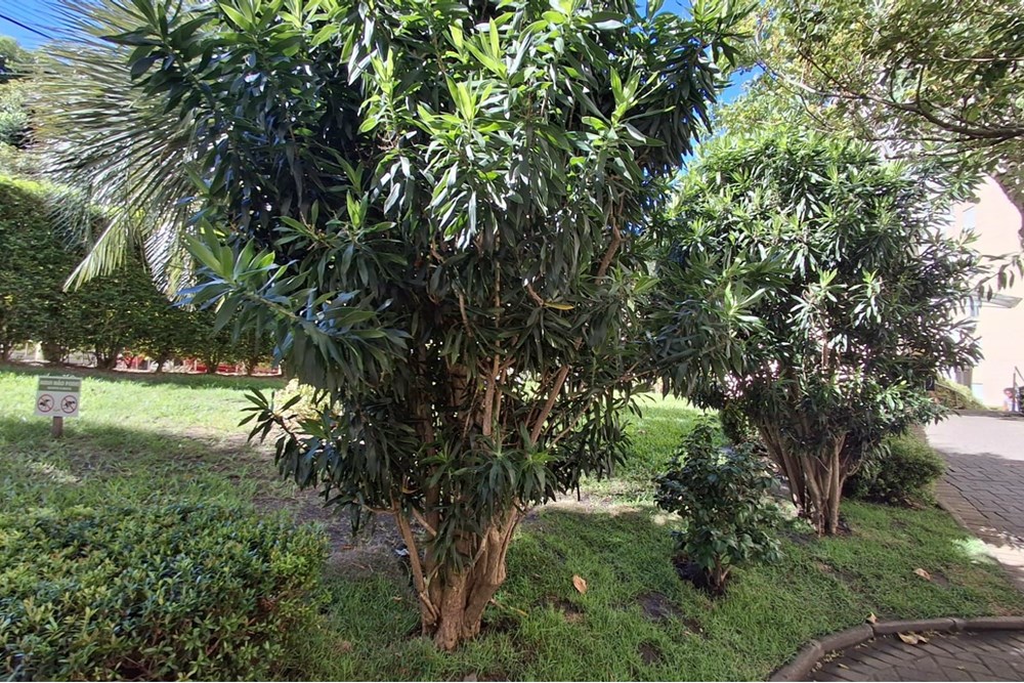 Apartamento, 3 quartos, 69 m² - Foto 45