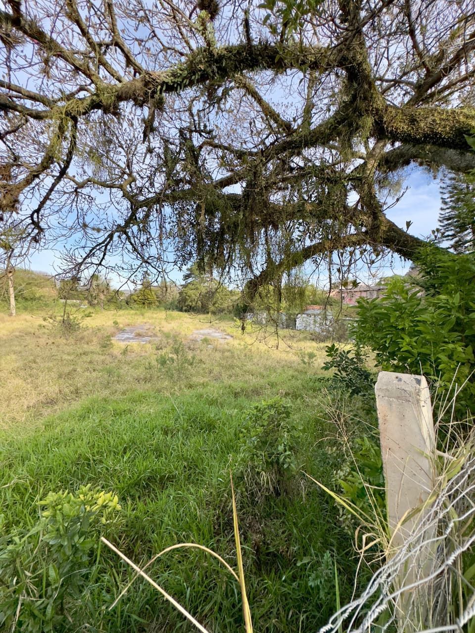 Terreno, 6952 m² - Foto 8